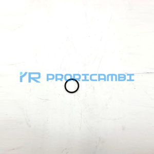 ANILLO - IVECO - 4847092