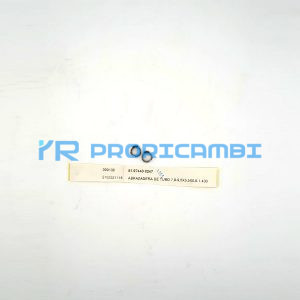 ABRAZADERA DE TUBO - MAN - 81974400247