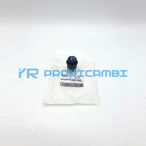 ENCENDEDOR ELECTRIC - MAN - 81289010026